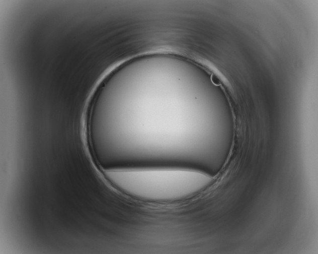 X0000100321468200806051339
