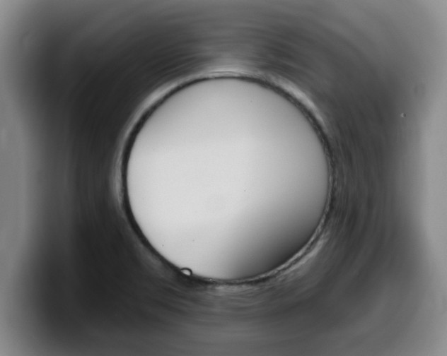 X0000100321469200806051339