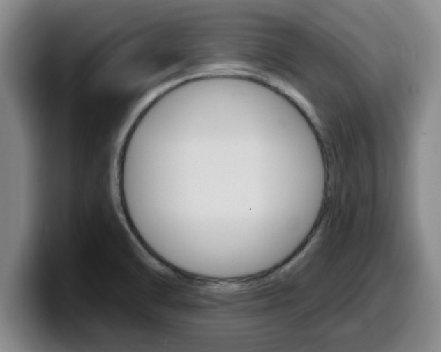 X0000100321470200806051339