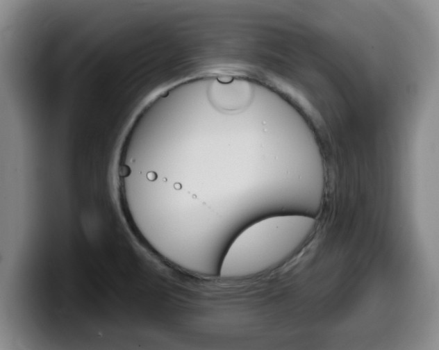 X0000100321471200806051339
