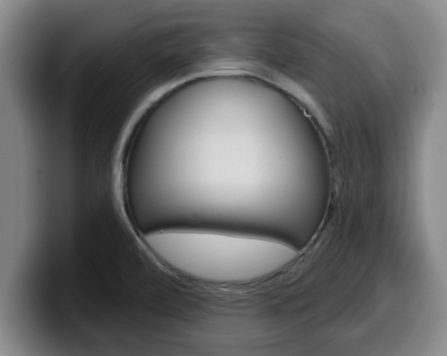 X0000100321472200806051339