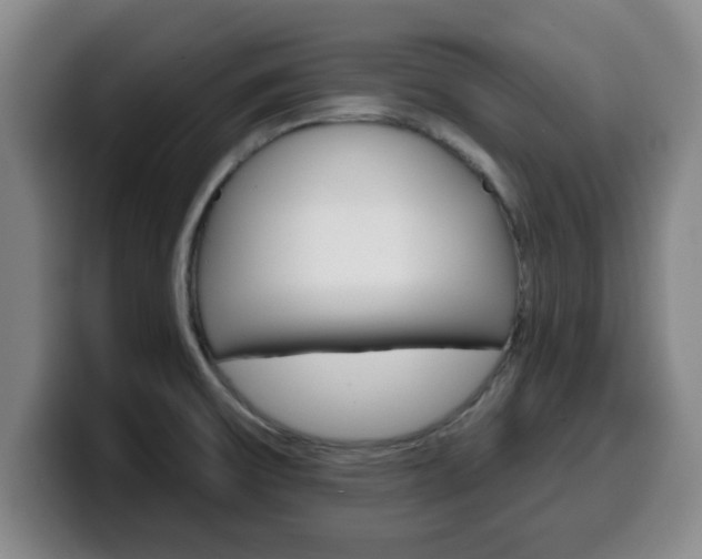 X0000100321475200806051339