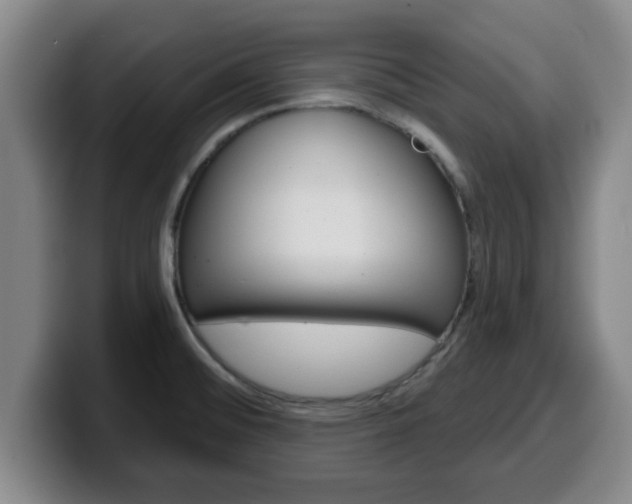X0000100321476200806051339
