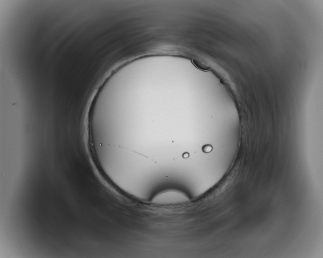 X0000100321479200806051339