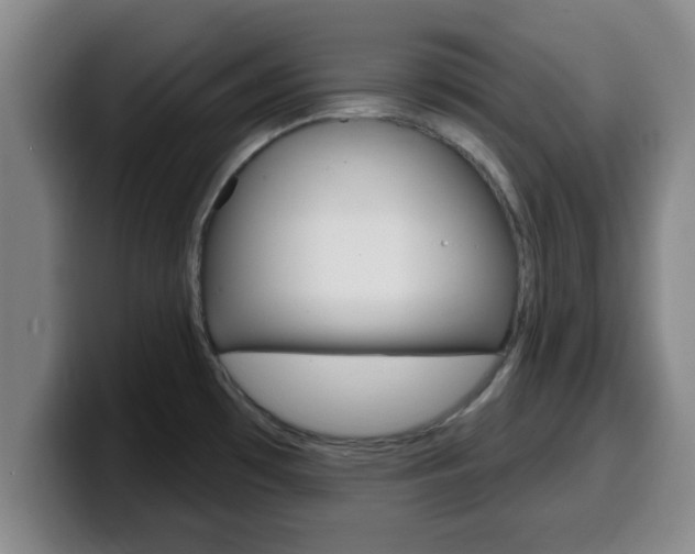 X0000100321481200806051339