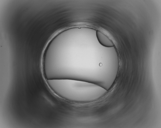 X0000100321482200806051339