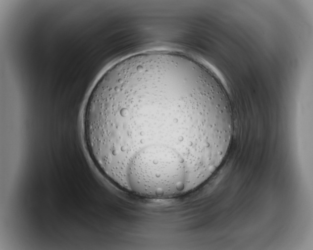 X0000100321483200806051339
