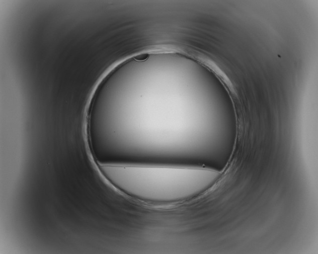 X0000100321484200806051339