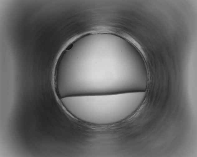 X0000100321485200806051339