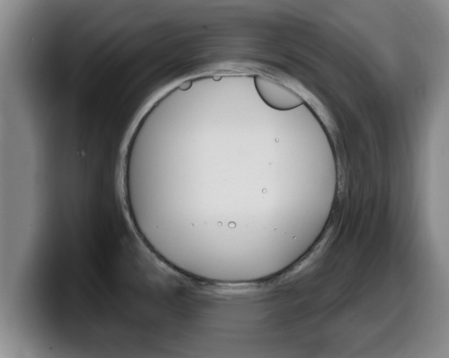 X0000100321486200806051339