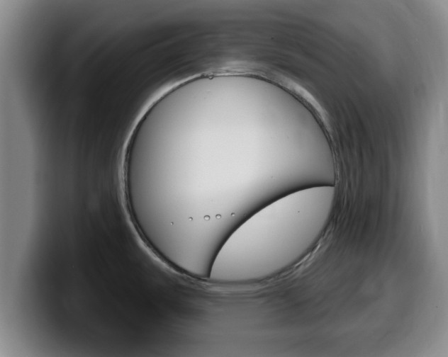 X0000100321487200806051339
