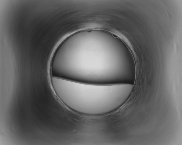 X0000100321488200806051339