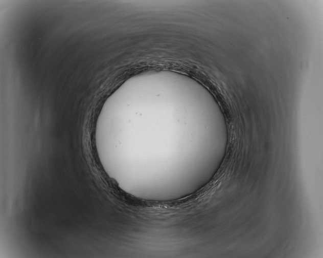 X0000100321489200806051338