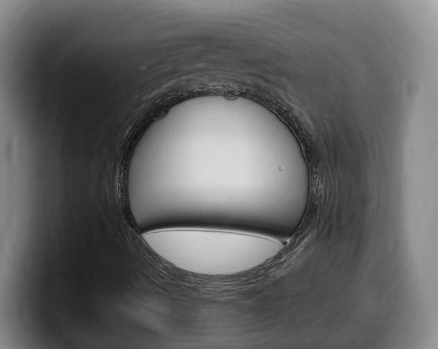 X0000100321490200806051338