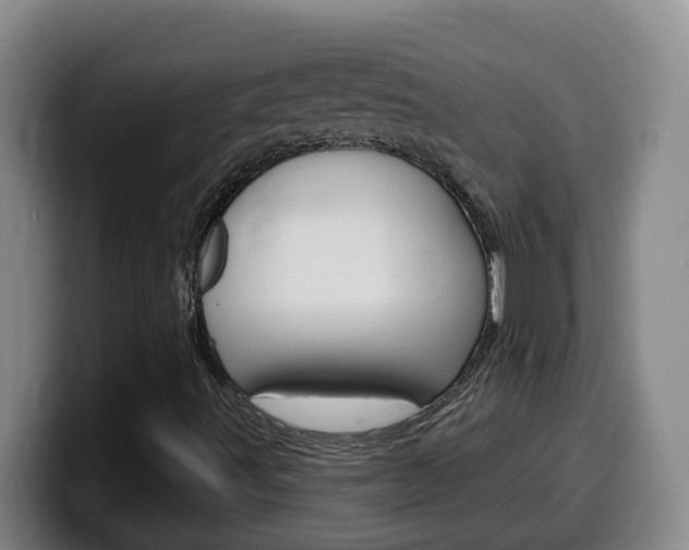 X0000100321491200806051338