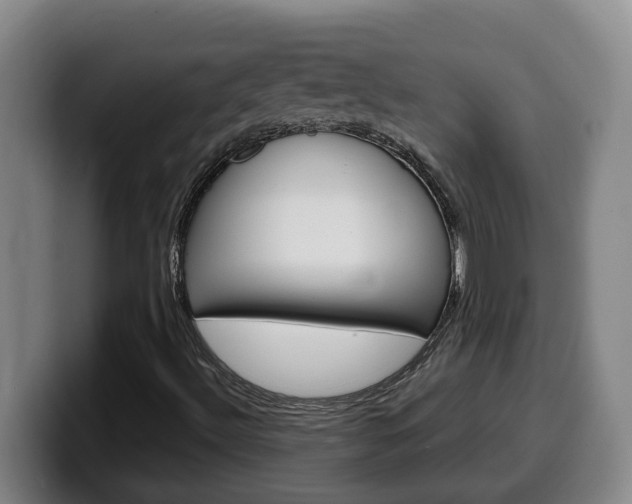 X0000100321492200806051338