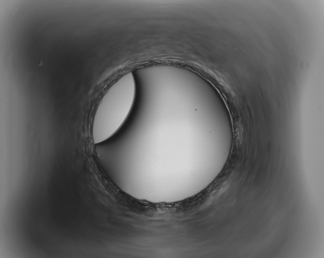 X0000100321494200806051338