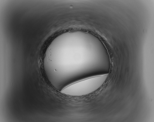 X0000100321495200806051338