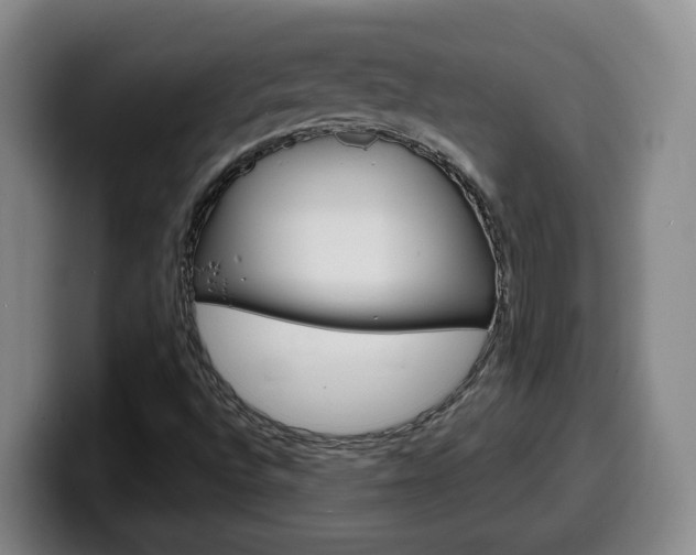 X0000100321496200806051338