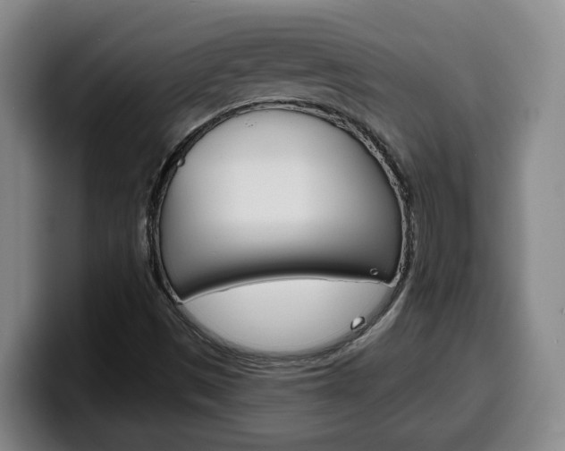 X0000100321497200806051339