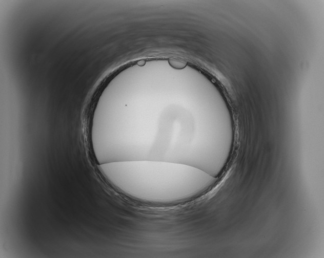 X0000100321498200806051339