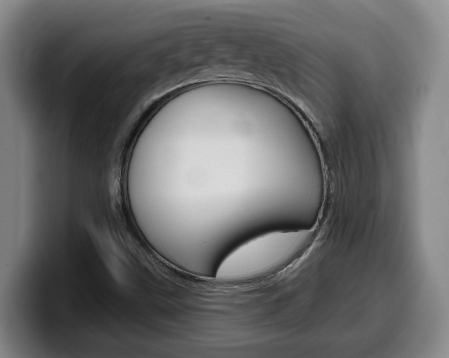 X0000100321499200806051339