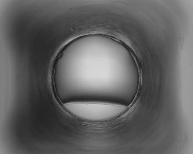 X0000100321500200806051339