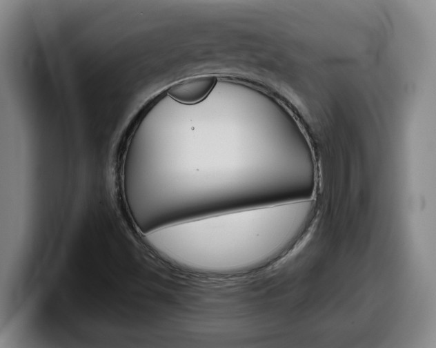 X0000100321501200806051339