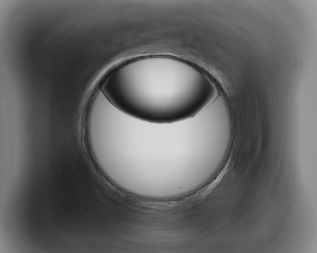 X0000100321502200806051339