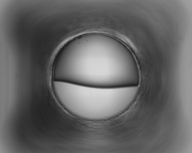 X0000100321504200806051339