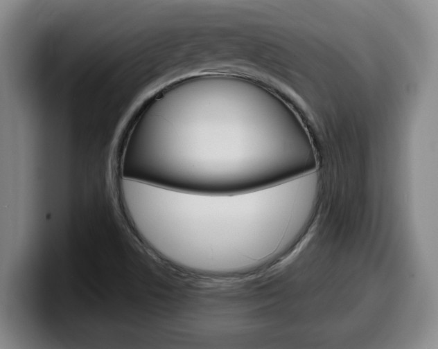 X0000100321506200806051339