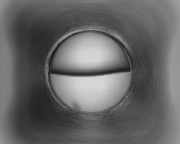 X0000100321508200806051339