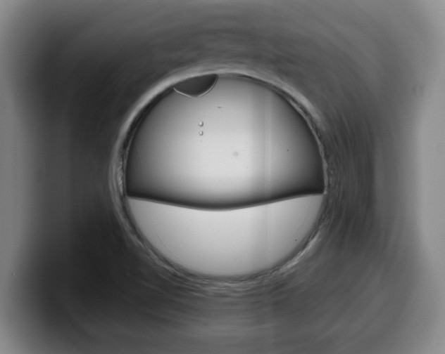 X0000100321510200806051339