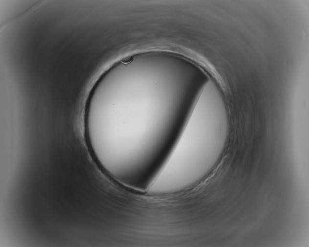 X0000100321512200806051339