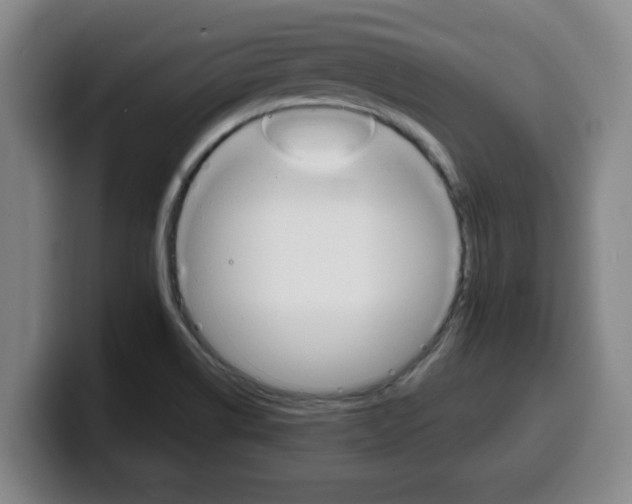 X0000100321514200806051339