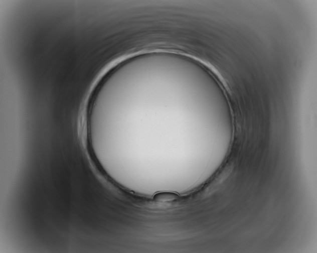 X0000100321515200806051339