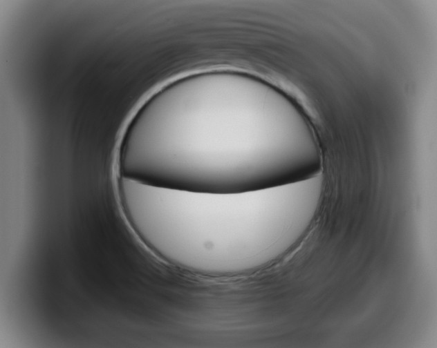 X0000100321516200806051339