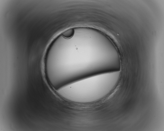 X0000100321517200806051339