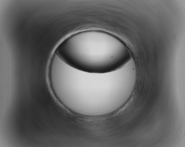 X0000100321518200806051339