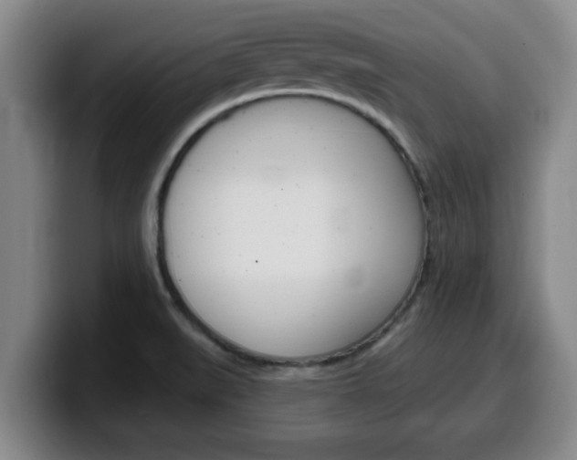 X0000100321519200806051339