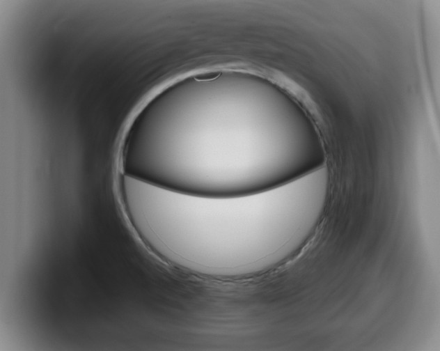 X0000100321520200806051339