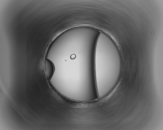 X0000100321521200806051339