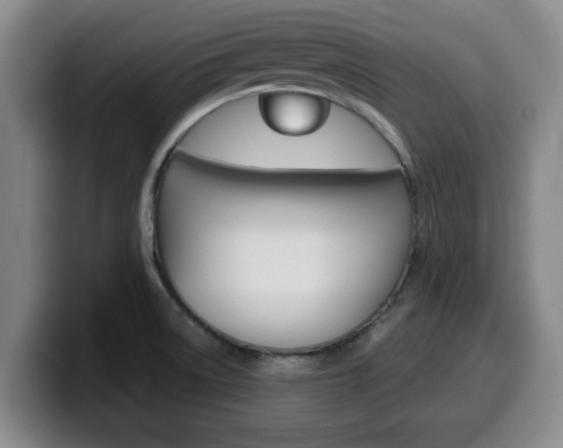 X0000100321522200806051339