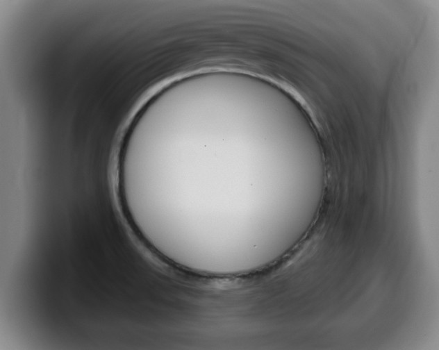 X0000100321523200806051339