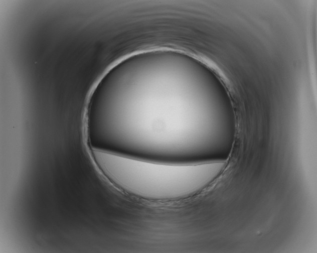 X0000100321524200806051339