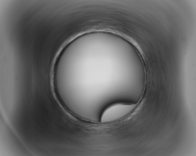 X0000100321525200806051339
