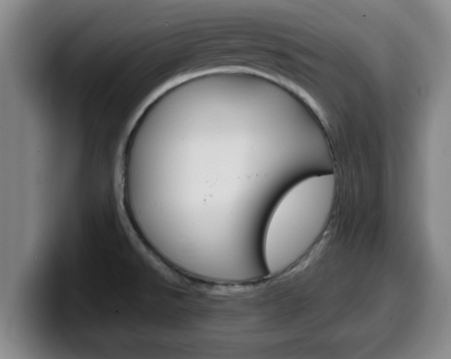 X0000100321526200806051339