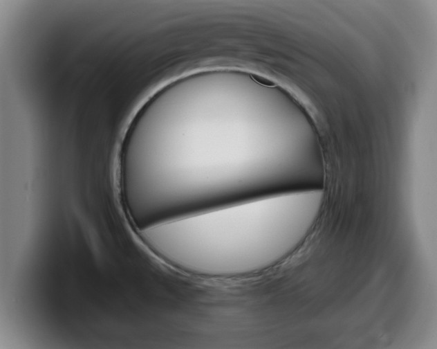 X0000100321527200806051339