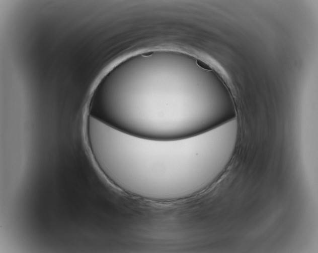 X0000100321528200806051339