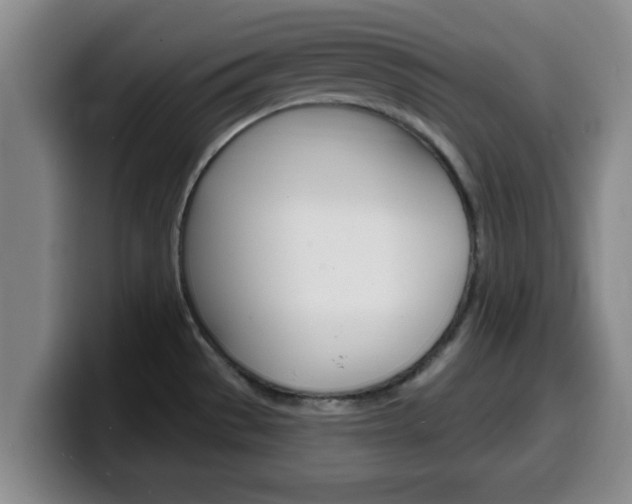 X0000100321529200806051339